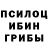 Галлюциногенные грибы Psilocybe LTU valentis